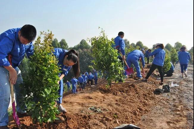 1528331059579021055.jpg ΢ÐÅͼƬ_20180607081520.jpg