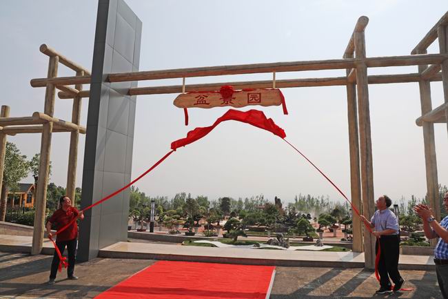 1570436428315077072.jpg 2019100105.jpg