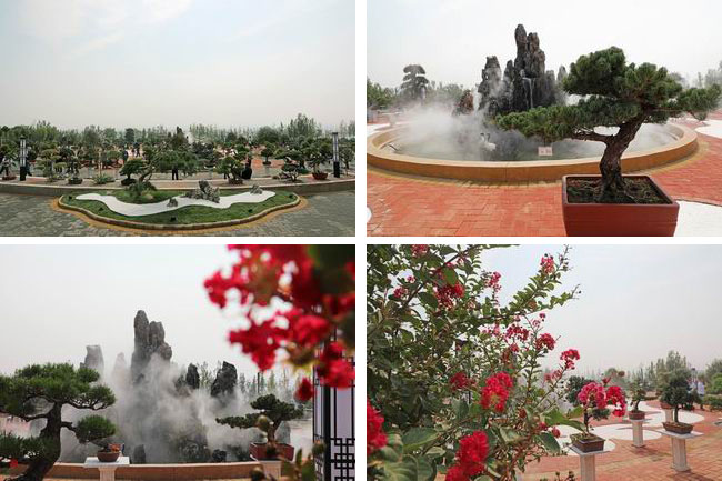 1570436439792031627.jpg 2019100110.jpg