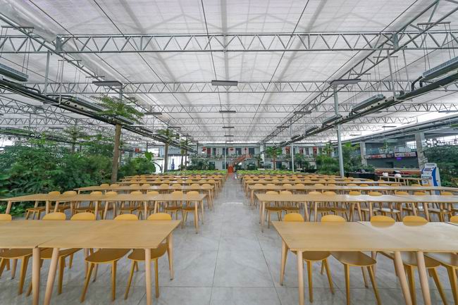 16-��̬�ǻ۲��� ����ʳ�з�����.jpg